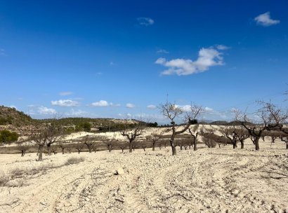 Land · Resale - Bullas · Costa Calida · Murcia / Costa Calida · Spain