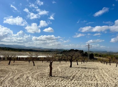 Land · Resale - Bullas · Costa Calida · Murcia / Costa Calida · Spain