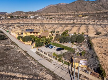 Commercial property · Resale - Hondón de las Nieves · Alicante · Spain