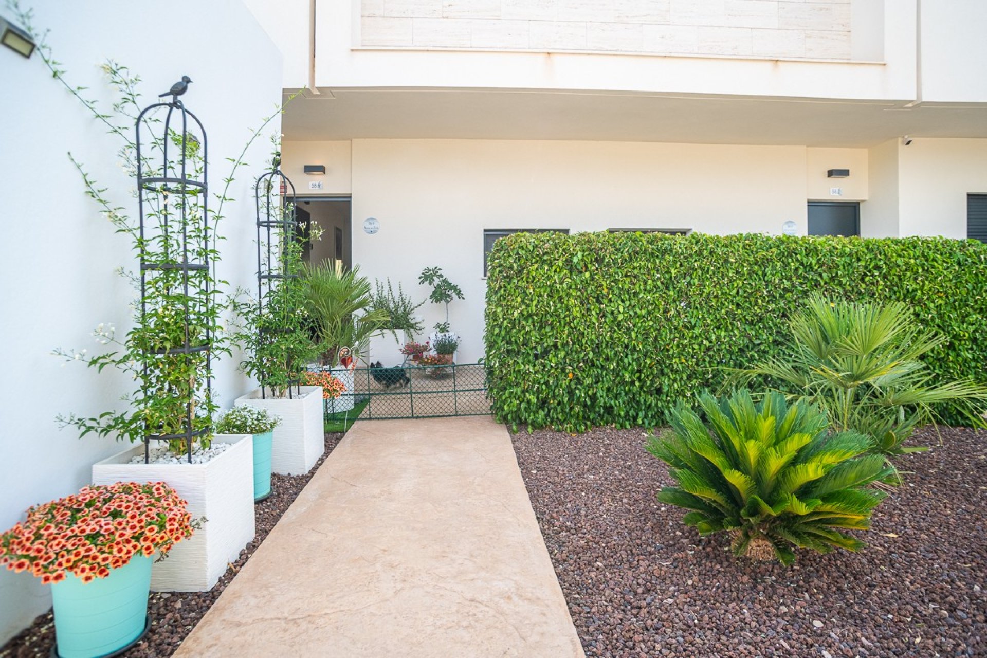Herverkoop - Appartement - Lo Romero Golf