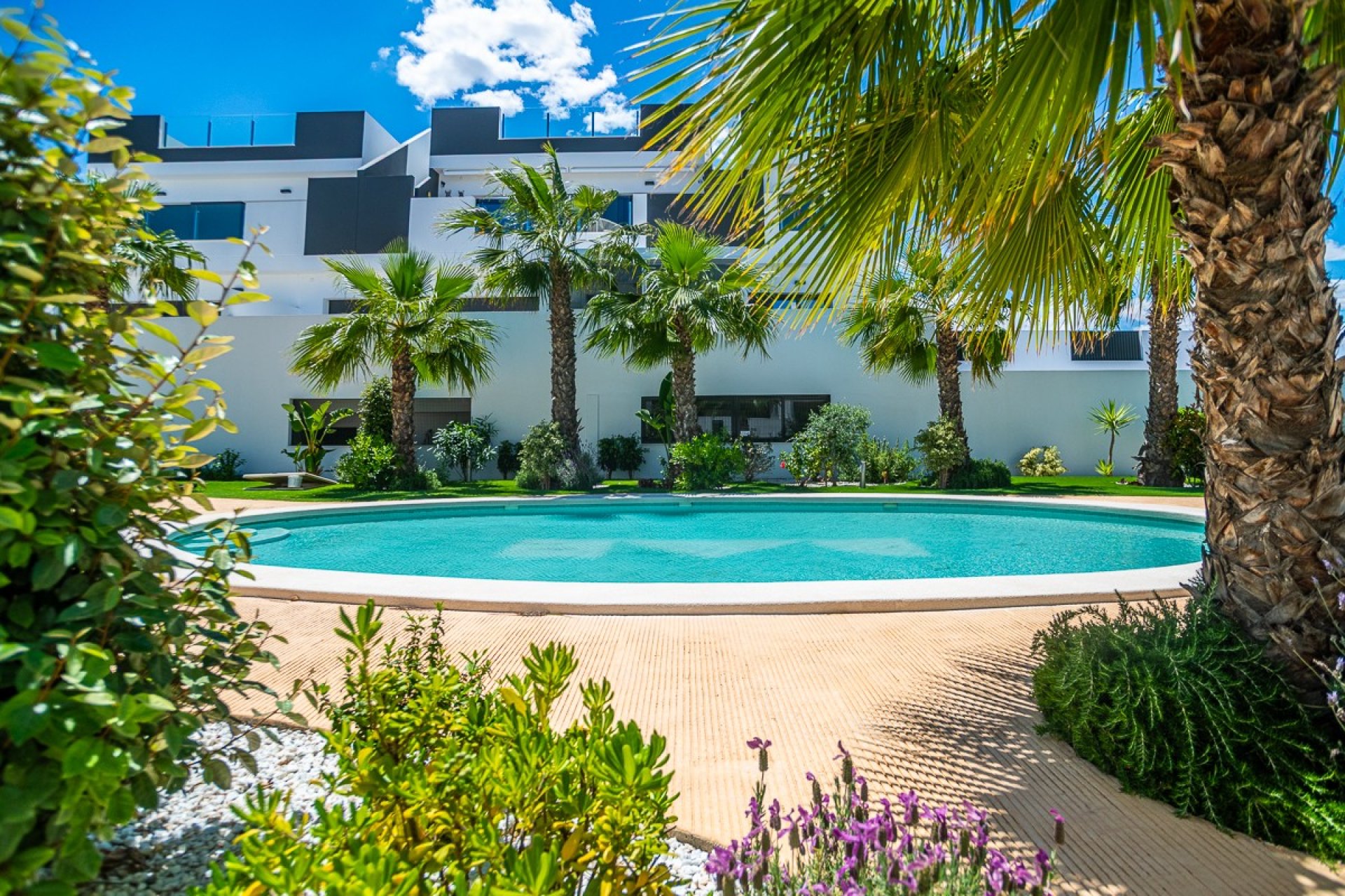 Herverkoop - Appartement - Torrevieja - Costa Blanca South