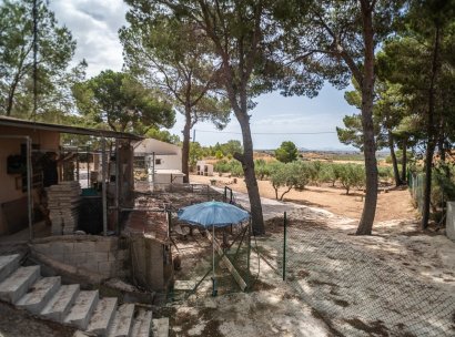 Hus · Återförsäljning - LA TERCIA · La Tercia · Murcia / Costa Calida · Spanien