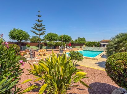Villa · Återförsäljning - Catral · Alicante · Spanien