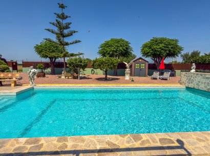 Villa · Återförsäljning - Catral · Alicante · Spanien