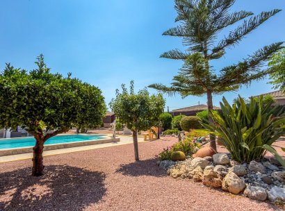 Villa · Återförsäljning - Catral · Alicante · Spanien