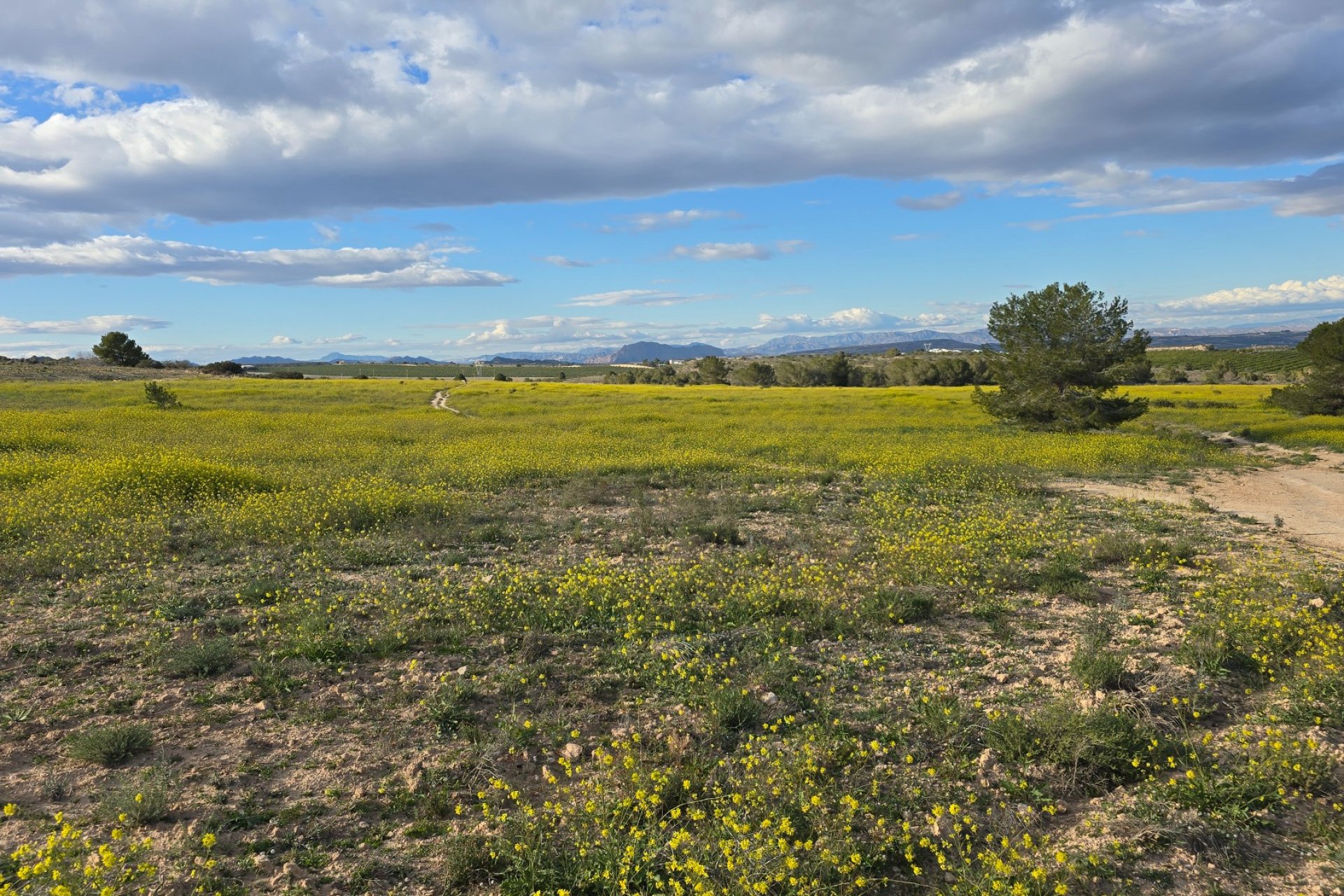 Resale - Apartment - Orihuela - Costa Blanca South