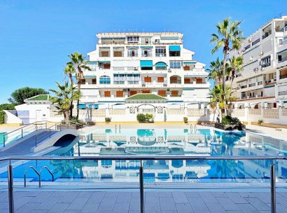Apartment · Resale - Torrevieja · La Mata · Alicante · Spain