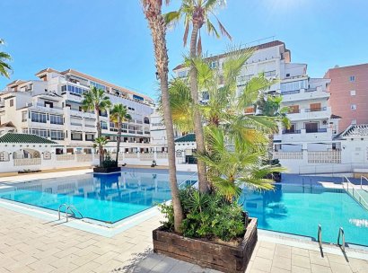 Apartment · Resale - Torrevieja · La Mata · Alicante · Spain