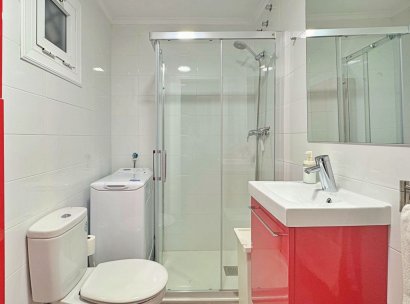 Apartment · Resale - Torrevieja · La Mata · Alicante · Spain