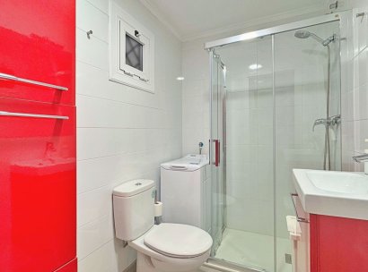 Apartment · Resale - Torrevieja · La Mata · Alicante · Spain