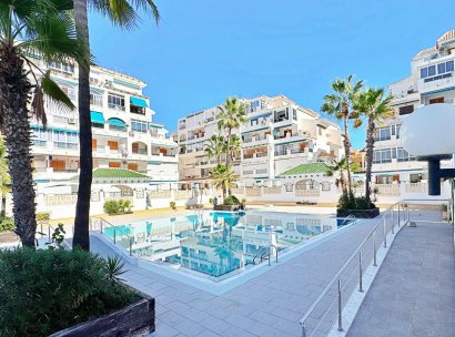 Apartment · Resale - Torrevieja · La Mata · Alicante · Spain