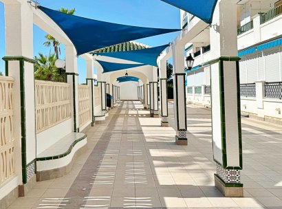 Apartment · Resale - Torrevieja · La Mata · Alicante · Spain