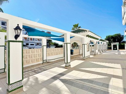 Apartment · Resale - Torrevieja · La Mata · Alicante · Spain