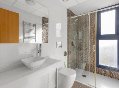 Penthouse · Resale - Torrevieja · Punta Prima · Alicante · Spain