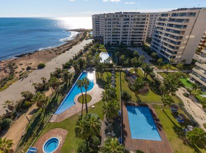 Penthouse · Resale - Torrevieja · Punta Prima · Alicante · Spain