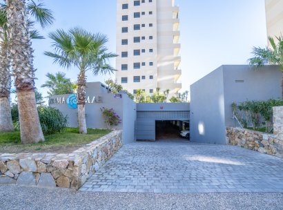 Penthouse · Resale - Torrevieja · Punta Prima · Alicante · Spain