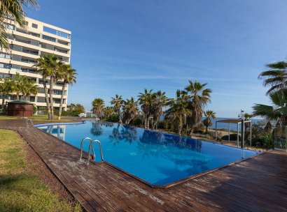 Penthouse · Resale - Torrevieja · Punta Prima · Alicante · Spain