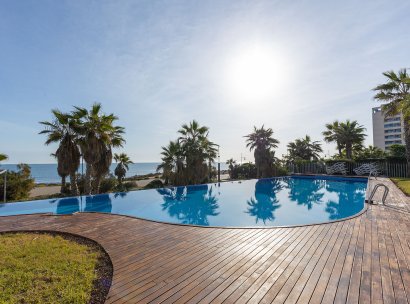 Penthouse · Resale - Torrevieja · Punta Prima · Alicante · Spain