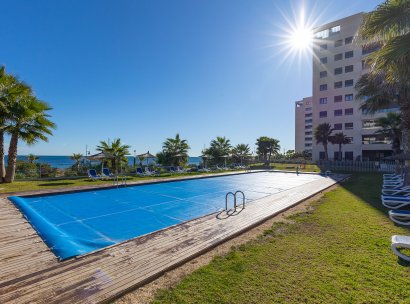 Penthouse · Resale - Torrevieja · Punta Prima · Alicante · Spain