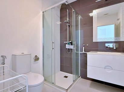 Penthouse · Resale - Torre de la Horadada · Alicante · Spain