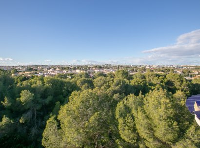 Apartamento · Reventa - Orihuela Costa · Lomas de Cabo Roig · Alicante · España