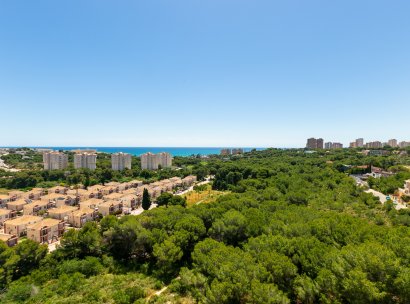 Wohnung · Wiederverkauf - Dehesa de Campoamor · Alicante · Spanien