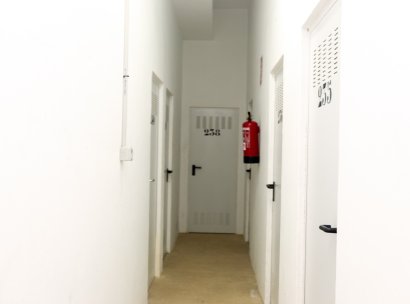 Wohnung · Wiederverkauf - Dehesa de Campoamor · Alicante · Spanien