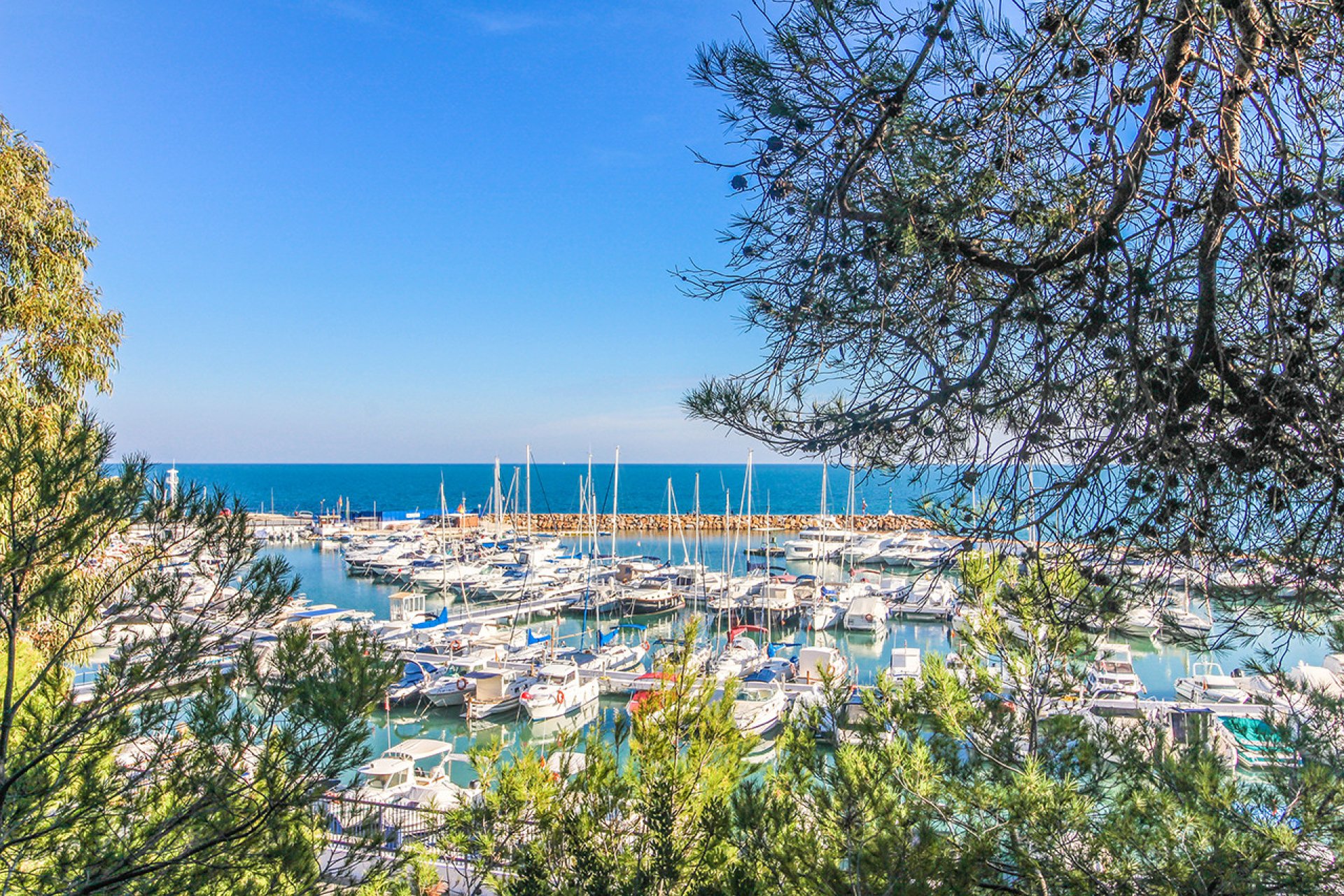 Wiederverkauf - Wohnung - Dehesa de Campoamor - Costa Blanca Süd