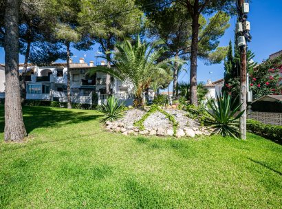 Bungalow · Återförsäljning - Torrevieja · Los Balcones · Alicante · Spanien