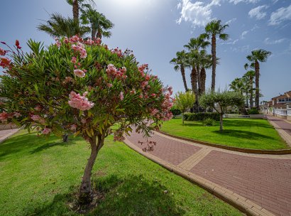 Wohnung · Wiederverkauf - Playa Flamenca · Zenia Mar · Alicante · Spanien