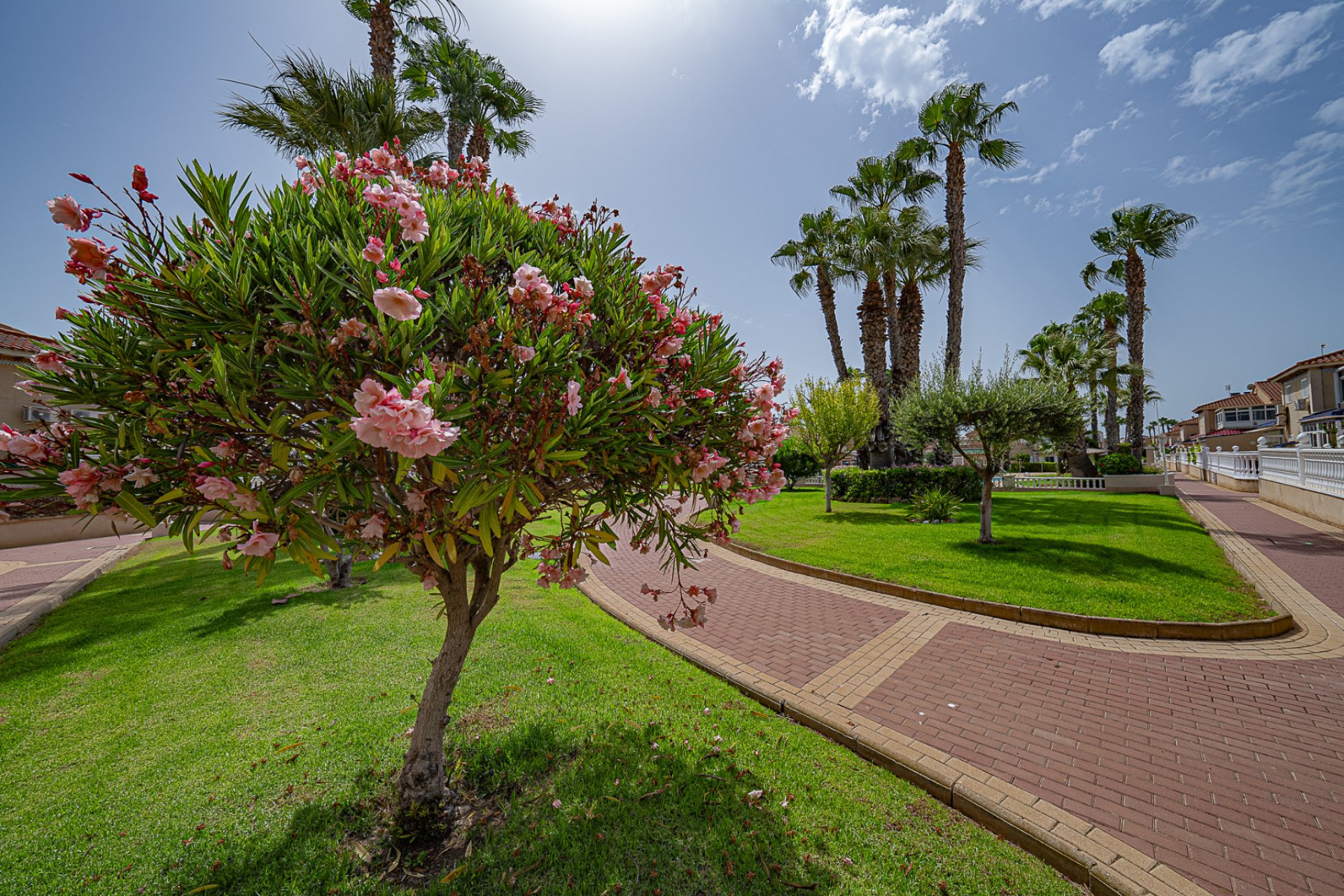 Herverkoop - Appartement - Playa Flamenca