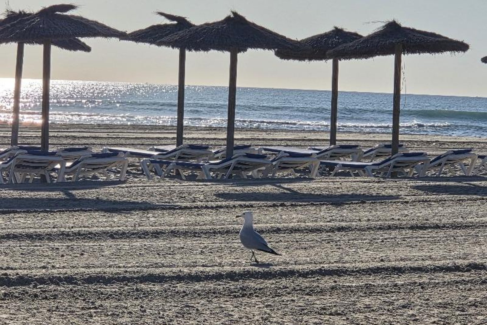 Återförsäljning - Lyxvilla - Cabo Roig - Costa Blanca South