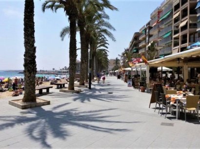 Bedrijfsruimte · Herverkoop - Torrevieja · Paseo maritimo · Alicante · Spanje