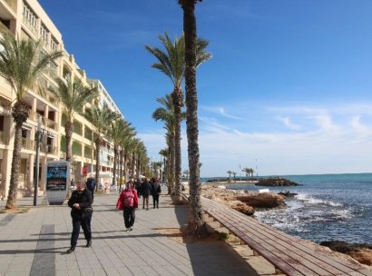 Bedrijfsruimte · Herverkoop - Torrevieja · Paseo maritimo · Alicante · Spanje
