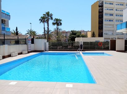 Begane grond · Herverkoop - Torrevieja · Estacion de autobuses · Alicante · Spanje