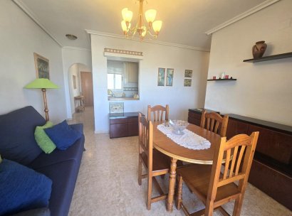 Appartement · Herverkoop - Torrevieja · Parque de las Naciones · Alicante · Spanje