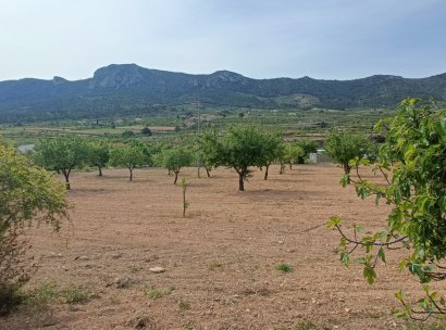 Villa / Detached · Wiederverkauf - La Romana · la Romana · Alicante · Spanien