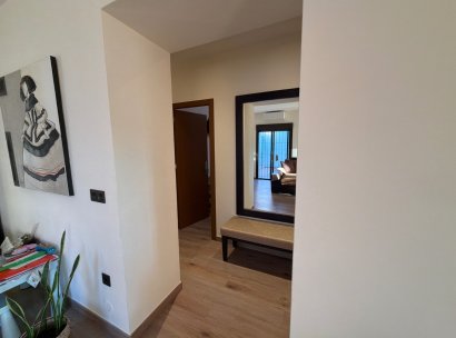 Semi - Detached Villa · Återförsäljning - Dolores · Alicante · Spanien