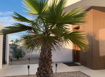 Detached House / Villa · Resale - Rojales · Alicante · Spain