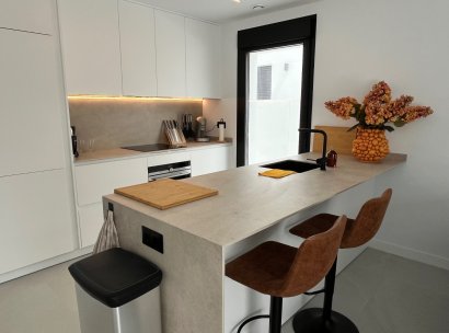 Detached House / Villa · Resale - Rojales · Alicante · Spain