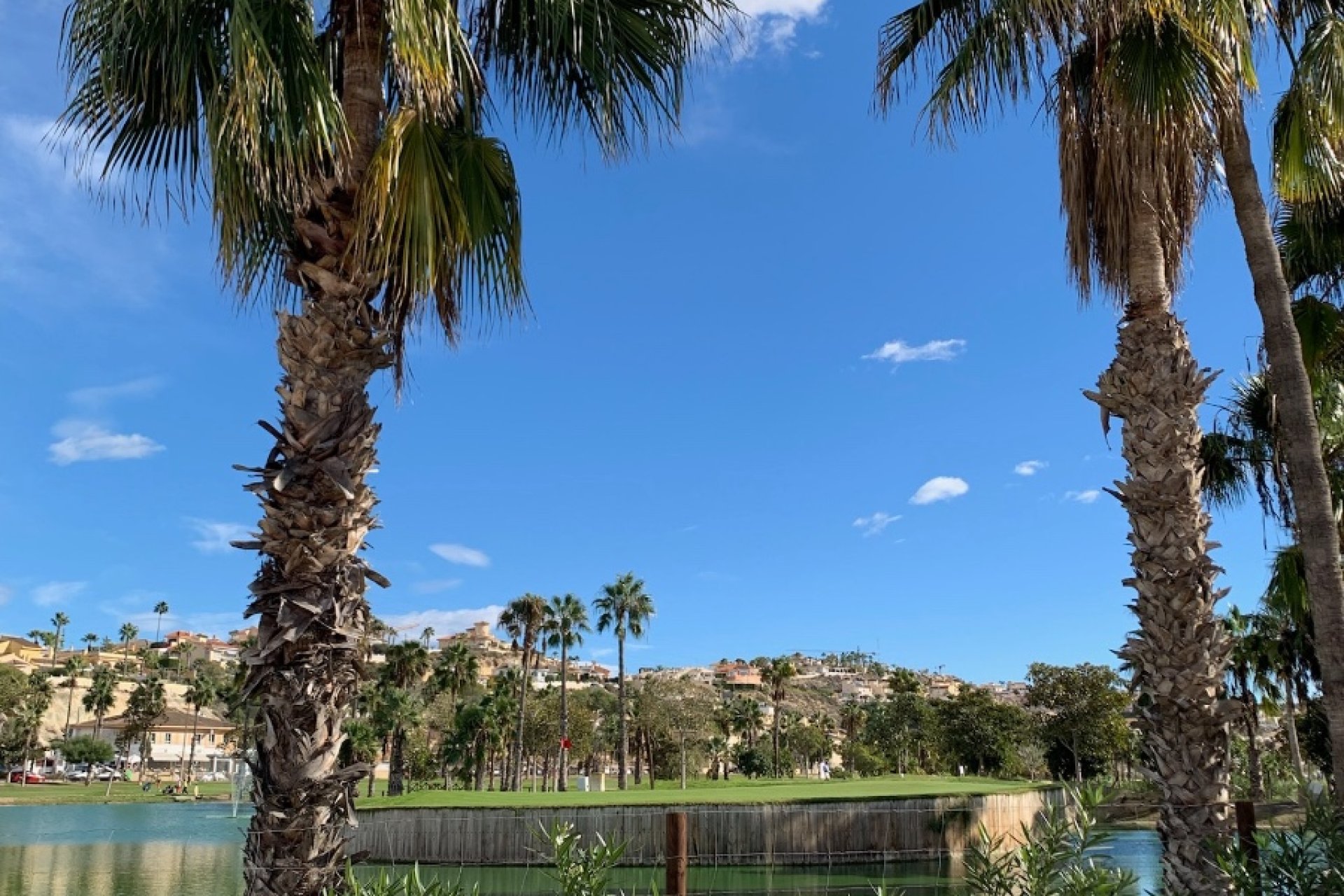 Resale - Detached House / Villa - Rojales - Costa Blanca South