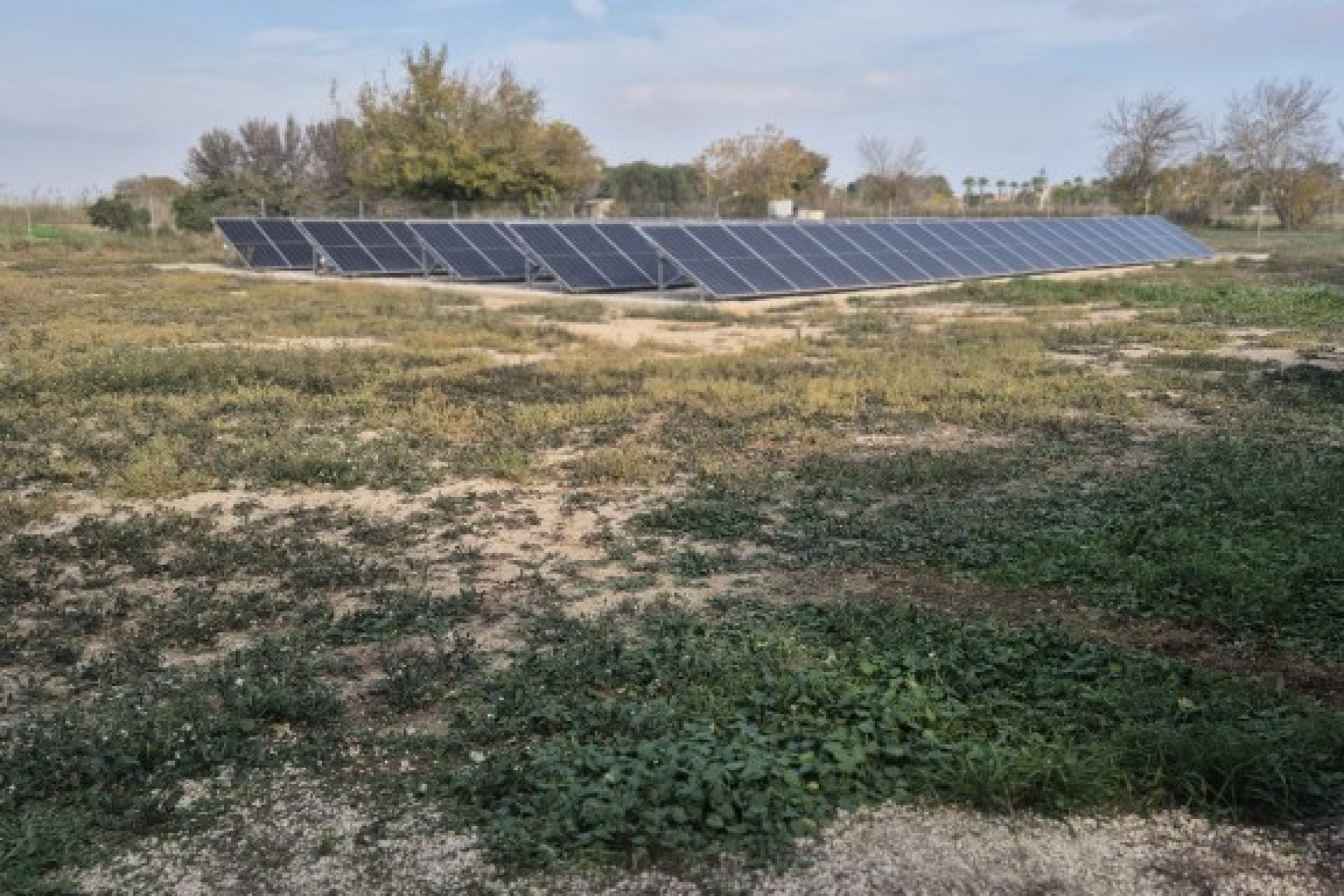 Resale - finca - Daya Vieja
