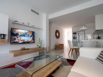 Penthouse · Resale - Torre de la Horadada · Alicante · Spain