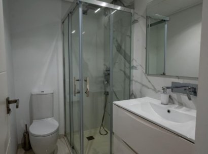 Penthouse · Resale - Torre de la Horadada · Alicante · Spain