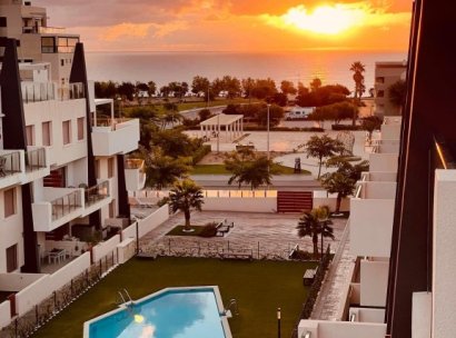 Penthouse · Resale - Torre de la Horadada · Alicante · Spain