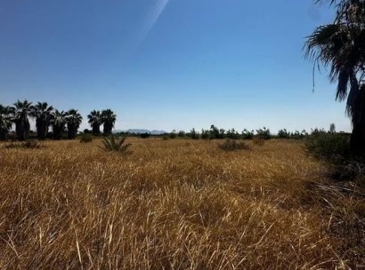 Baugrundstück · Wiederverkauf - Elche · Alicante · Spanien