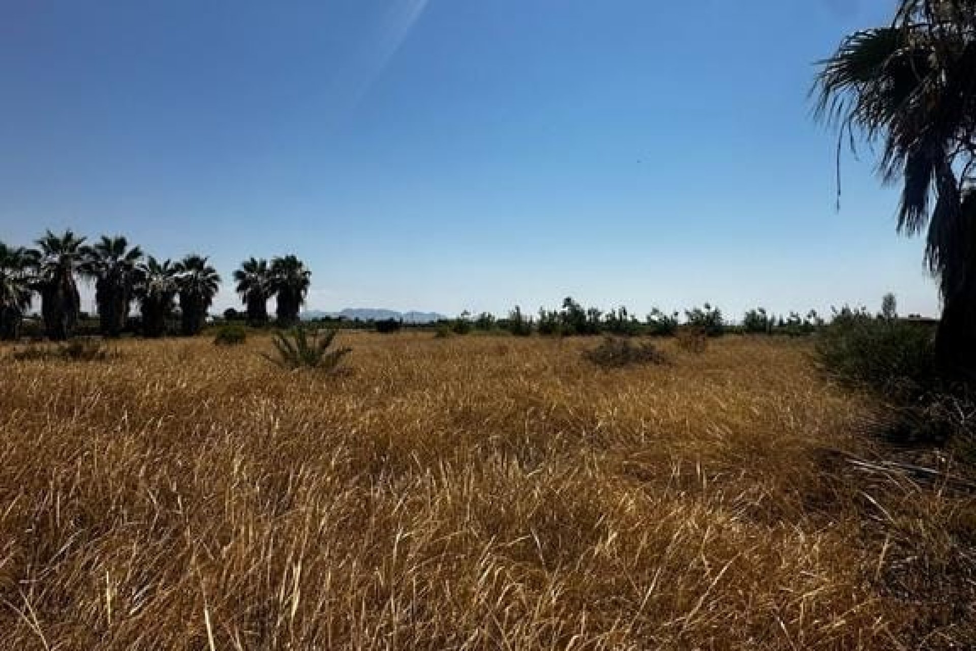 Resale - Building plot - Elche - Costa Blanca South