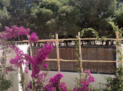 Apartment · Resale - Santiago de la Ribera · Murcia · Spain
