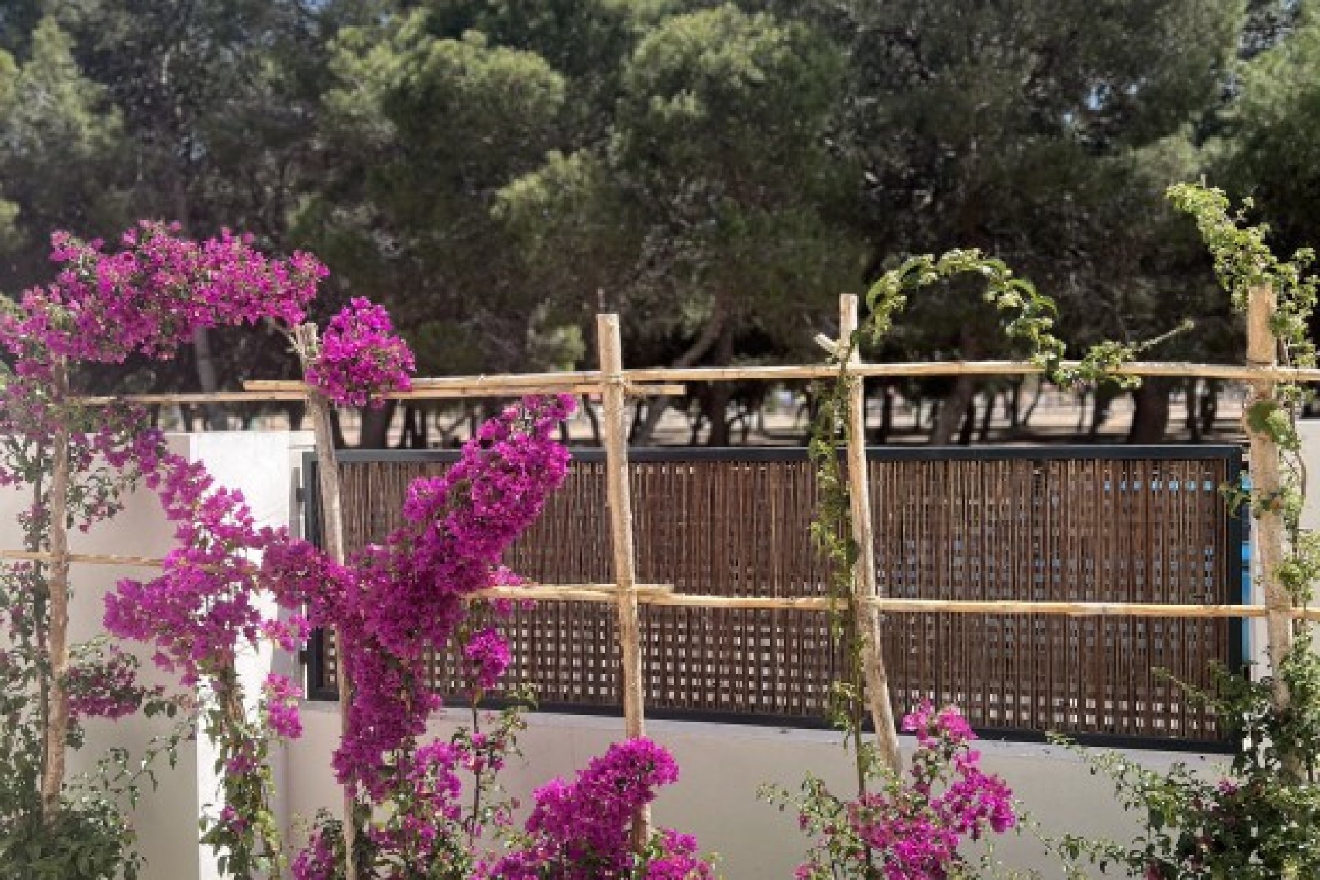 Resale - Apartment - Santiago de la Ribera - Costa Calida