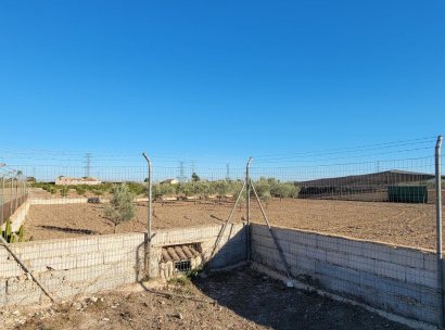 Finca / Country Property · Resale - San Miguel de Salinas · Alicante · Spain
